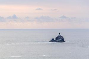 深夜雞湯。