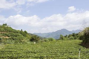 第二十二章教訓(xùn)白子茹