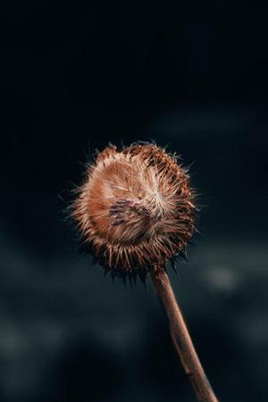 第二十二章教訓(xùn)白子茹
