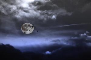 為滿足平安夜大量人流通行