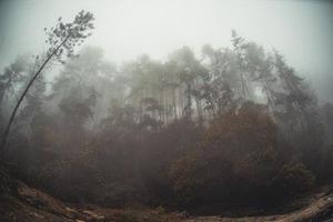 不同區(qū)域環(huán)境污染主控因素快速提取及對(duì)比分析