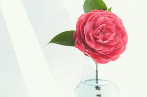 第79章我們是奸商