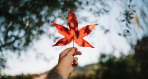 廳黨組成員、總工程師張生福以及廳屬有關(guān)單位負(fù)責(zé)人