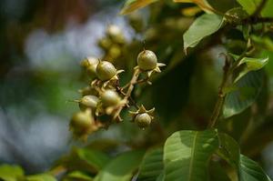 把肖戰(zhàn)放在首位，不跟風(fēng)意見領(lǐng)袖，尊重原創(chuàng)，肖戰(zhàn)粉絲這次能做到