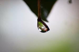 關(guān)于近期社區(qū)部分文章被鎖定或賬號被封禁的說明