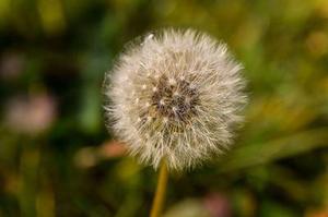 船舶維修工程級別綜合分析