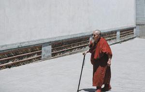 既然活下來(lái)了，就不能白白的活著