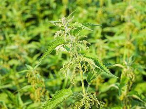 鐵路首改分配機制10月貨運增幅驚人