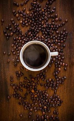 吐溫與纖維相互作用的太赫茲波譜分析