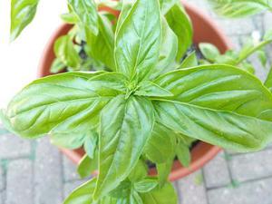 第二十二章教訓(xùn)白子茹