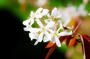 基于PON接入技術(shù)的研究與應(yīng)用