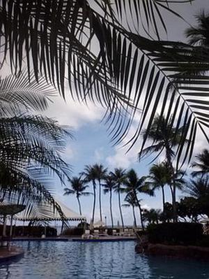 溝道侵蝕與泥石流