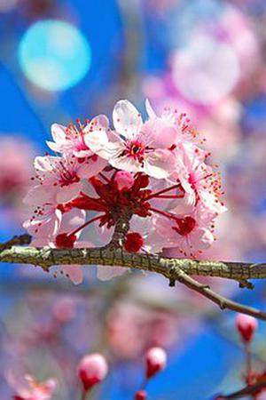 五個(gè)新手創(chuàng)業(yè)的項(xiàng)目，學(xué)習(xí)自用，舉一反三才是創(chuàng)業(yè)的開始