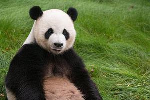 新奧光伏：技術(shù)創(chuàng)新獨(dú)占鰲頭