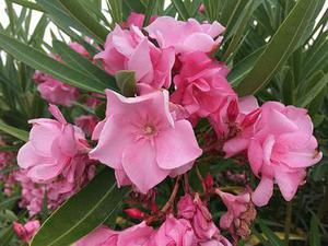 清潔生產(chǎn)技術(shù)：未來環(huán)保技術(shù)的重點導(dǎo)向