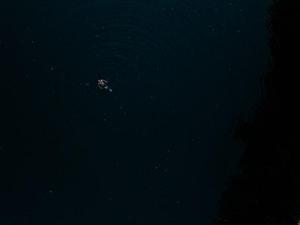 【影像隨筆】貓鏡子