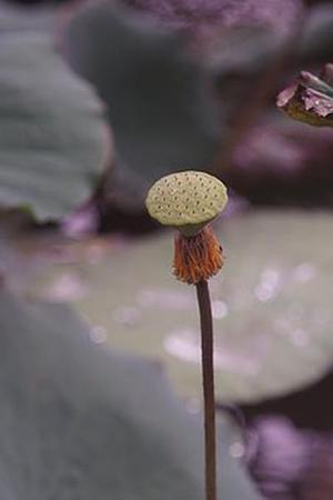 廳黨組成員、總工程師張生福以及廳屬有關(guān)單位負(fù)責(zé)人