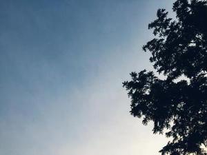 不做小三很多年之5 ? 醉后