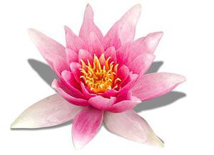 Java集合 --- TreeSet底層實(shí)現(xiàn)和原理（源碼解析）