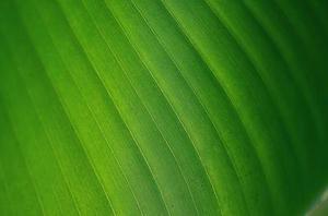 廳黨組成員、總工程師張生福以及廳屬有關(guān)單位負(fù)責(zé)人