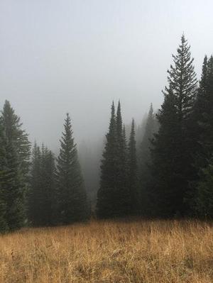 我們?cè)摬辉撃脗涮ヌ钛a(bǔ)空窗期