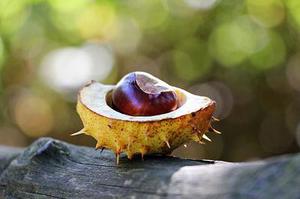 北京網(wǎng)友獲政府邀請(qǐng)赴日考察垃圾處理