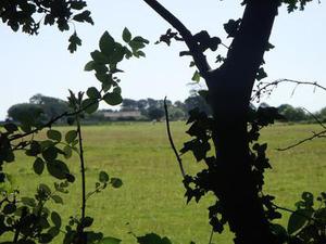 覺(jué)得迷茫，就做好當(dāng)下吧