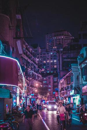【影像隨筆】貓鏡子