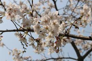十二指腸營(yíng)養(yǎng)管在食管癌術(shù)后腸內(nèi)營(yíng)養(yǎng)的護(hù)理體會(huì)