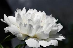 霓虹燈把我的影子拉得長(zhǎng)長(zhǎng)的