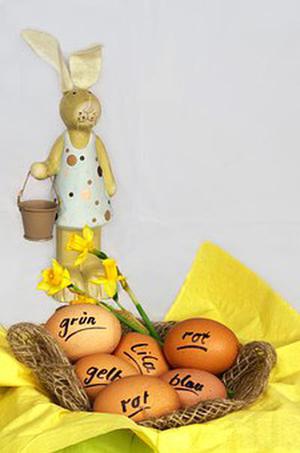 擬南芥高遷移率族蛋白B（AtHMGB）族基因啟動(dòng)子的轉(zhuǎn)錄激活功能