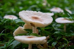 把肖戰(zhàn)放在首位，不跟風(fēng)意見領(lǐng)袖，尊重原創(chuàng)，肖戰(zhàn)粉絲這次能做到