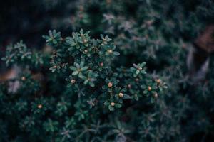第二十二章教訓(xùn)白子茹