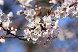 【深度談寫(xiě)作】如何駕馭情節(jié)