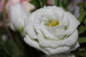 午夜巴黎｜實(shí)際上，雨中的巴黎最美了