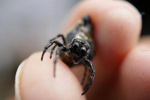 王健專覽銀發(fā)人確?？鞓?lè)方法