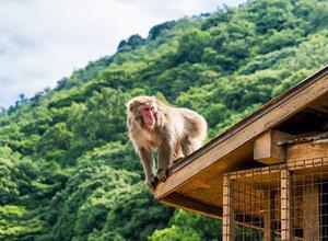 王健專覽銀發(fā)人確?？鞓贩椒?>
                        </a>
                        <div   id=
