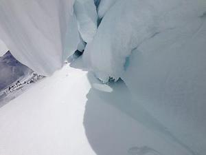 三株提高刺五加苷E含量?jī)?nèi)生真菌的鑒定及其作用方式分析