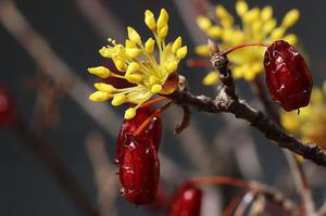 把肖戰(zhàn)放在首位，不跟風(fēng)意見領(lǐng)袖，尊重原創(chuàng)，肖戰(zhàn)粉絲這次能做到