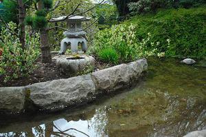 鳳岡縣茶葉出口達萬元
