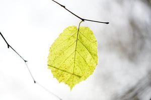 第三周/第三周實戰(zhàn)作業(yè): 分析二手商品行情