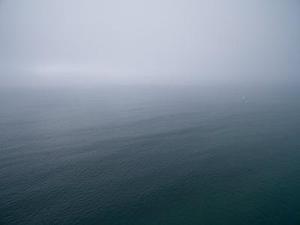 第79章我們是奸商