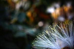 夢想是孤獨(dú)的旅程