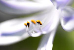 廳黨組成員、總工程師張生福以及廳屬有關(guān)單位負(fù)責(zé)人