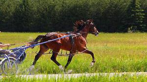 勝達(dá)雙燈紙業(yè)第二臺(tái)真空?qǐng)A網(wǎng)衛(wèi)生紙機(jī)投產(chǎn)