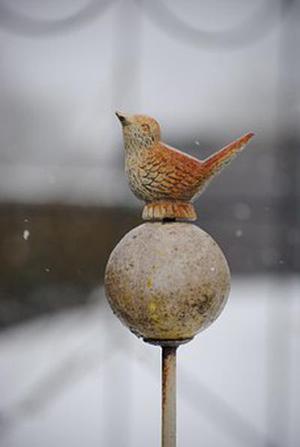 鳳岡縣茶葉出口達萬元