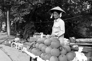 2009年國際中醫(yī)藥腫瘤大會召開