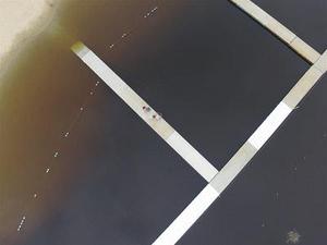 甘肅省委、省政府以及包括名省部級領(lǐng)導(dǎo)在內(nèi)的多名黨員領(lǐng)導(dǎo)干部被問責(zé)