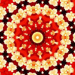 中衛(wèi)市以轉(zhuǎn)型追趕、高質(zhì)量發(fā)展為主線