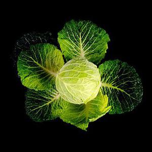 國際薄膜太陽能電池峰會在我市舉行全國人大常委會副委員長周鐵農(nóng)發(fā)來賀電